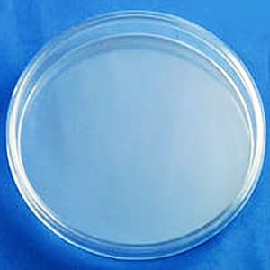 Autoclavable Petri Plates 90x15mm
